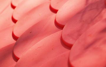 Rhydwyn plastic roof costs